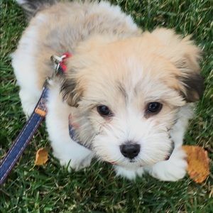 Meet your Posher, Abigail